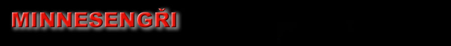 Logo MINNESENGI